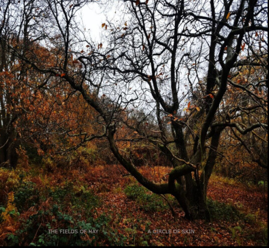 The Fields Of Hay A Circle Of Skin CD
