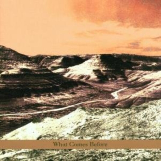 Goldberg, Schott, Sarin Trio What Comes Before CD