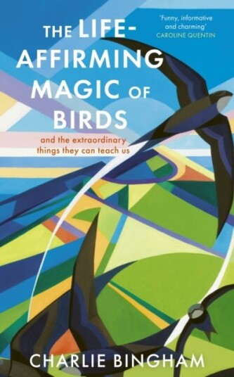 The Life Affirming Magic of Birds The Life Affirming Magic of Birds