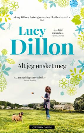 Alt jeg ønsket meg av Lucy Dillon