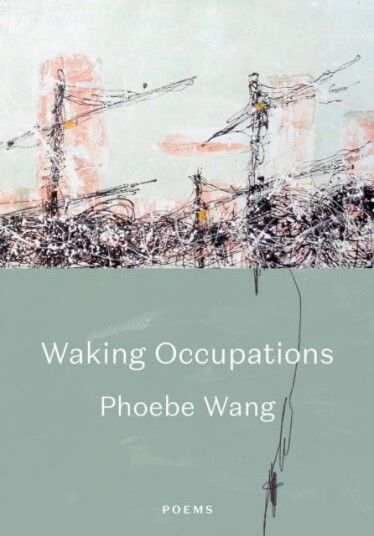 Walking Occupations Av Phoebe Wang Walking Occupations Av Phoebe Wang