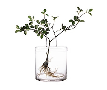 Vase med lokk 21 cm