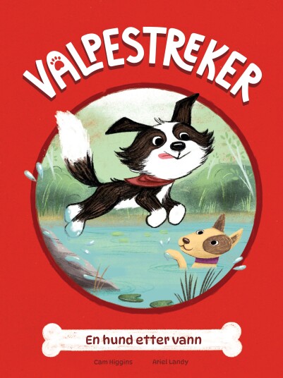 En hund etter vann En hund etter vann