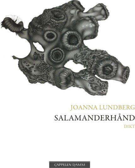 Salamanderhånd Av Joanna Lundberg Salamanderhånd Av Joanna Lundberg