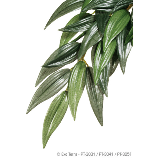 Rucus (Silke) Hengende Regnskog/Jungelplanter Grønn Medium Rucus (Silke) Hengende Regnskog/Jungelplanter Grønn Medium