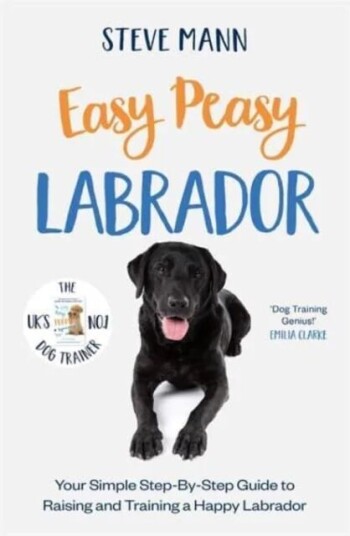 Easy Peasy Labrador Av Steve Mann