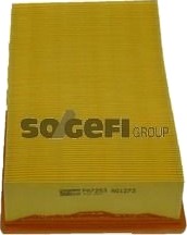 COOPERSFIAAM FILTERS PA7253 Luftfilter COOPERSFIAAM FILTERS PA7253 Luftfilter