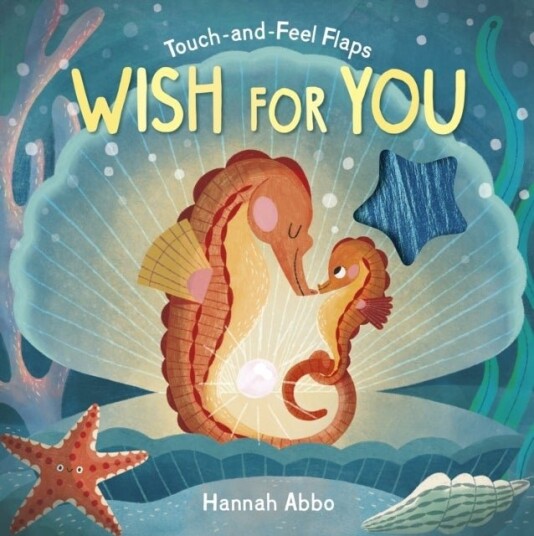 Touch and Feel Flaps: Wish for You Touch and Feel Flaps: Wish for You