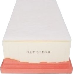Luftfilter AUTOMEGA 246764210