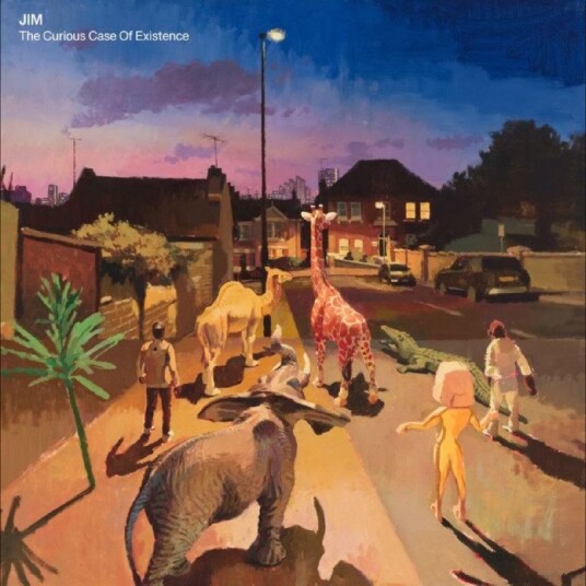 Jim The Curious Case Of Existence Vinyl
