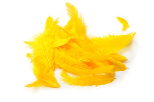 Hareline Metz Soft Hackle