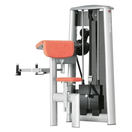 gym80 Sygnum Biceps Curl