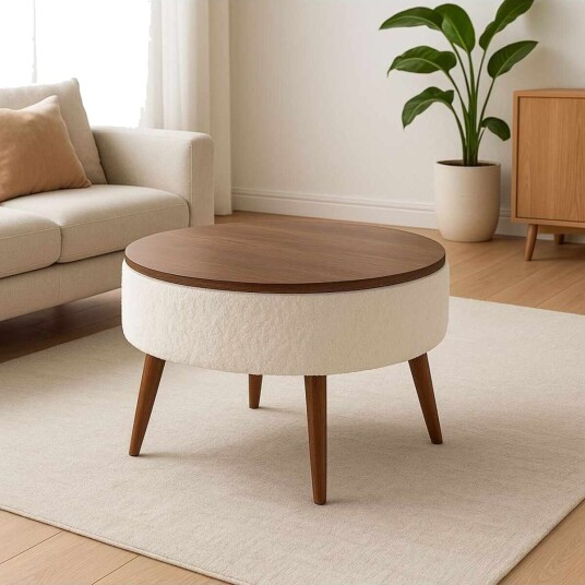 Coffee Table Homitis -