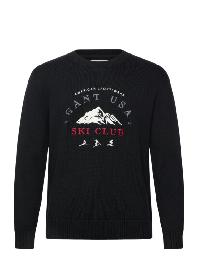 GANT Embroidered Graphic C-Neck - Black - S