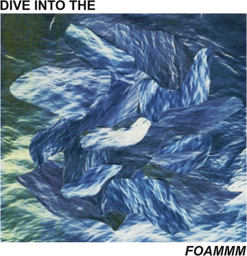 Foammm Dive Into The Foammm Vinyl