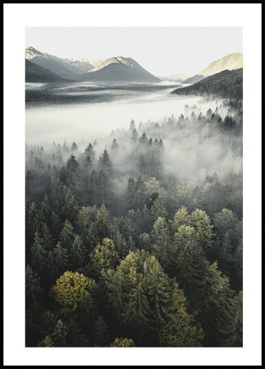 Misty Mountain Plakat Plakat / 100x150cm