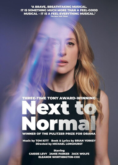 Next To Normal DVD