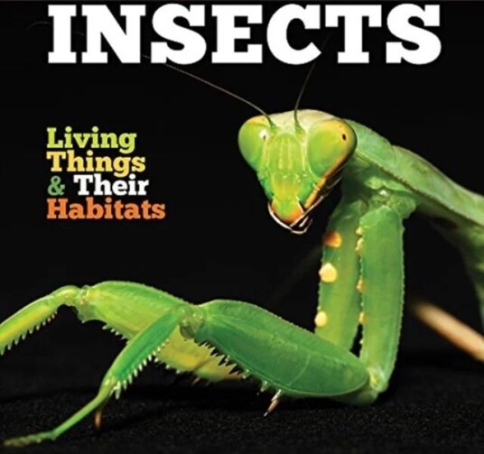 Insects av Grace Jones