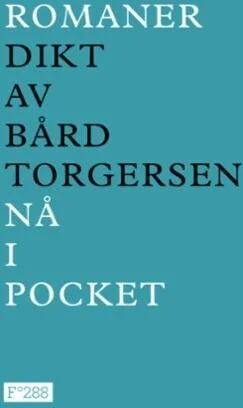 Romaner Av Bård Torgersen