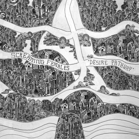 Screaming Females Desire Pathway LP/Vinyl Screaming Females Desire Pathway LP/Vinyl
