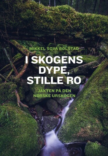 I Skogens Dype, Stille Ro Av Mikkel Soya Bølstad