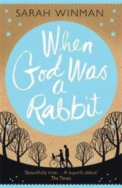 When God Was A Rabbit Av Sarah Winman