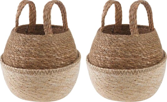 vidaXL Blomsterkrukke med håndtak 2 pcs Hvit Ø 22 x 20 cm
