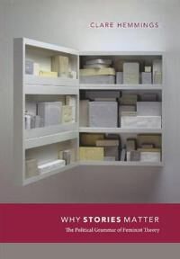 Why Stories Matter Av Clare Hemmings
