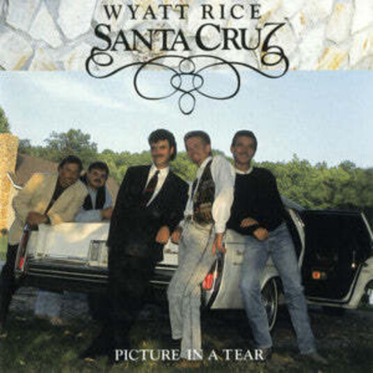 Wyatt Rice Picture In A Tear CD