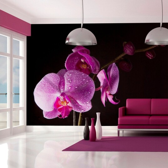 Fototapet Stylish Orchids 250x193 - Artgeist sp. z o. o.