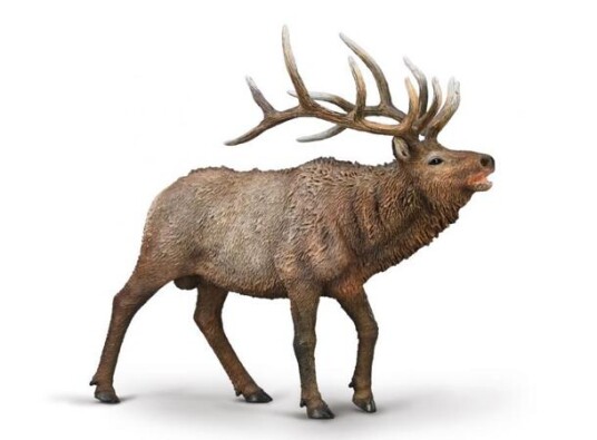 Collecta Majestic Red Stag XL