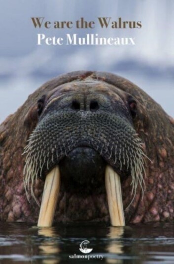 We Are The Walrus Av Pete Mullineaux