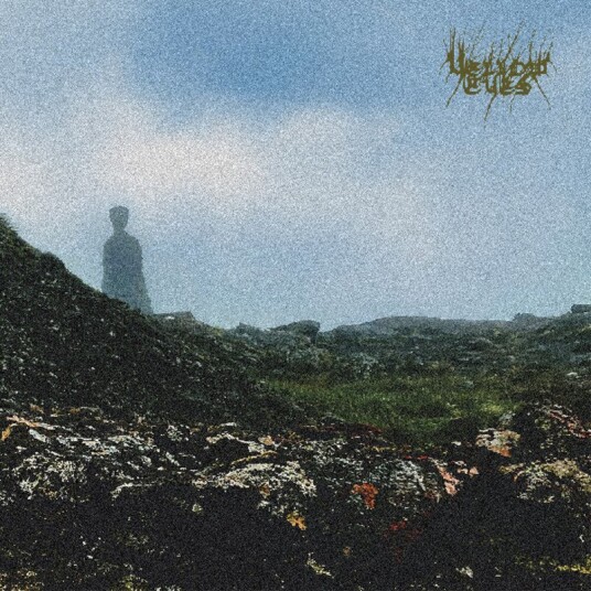 Confusion Gate Vinyl
