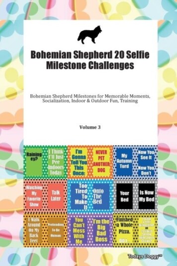 Bohemian Shepherd 20 Selfie Milestone Challenges Bohemian Shepherd Milestones for Memorable Moments,