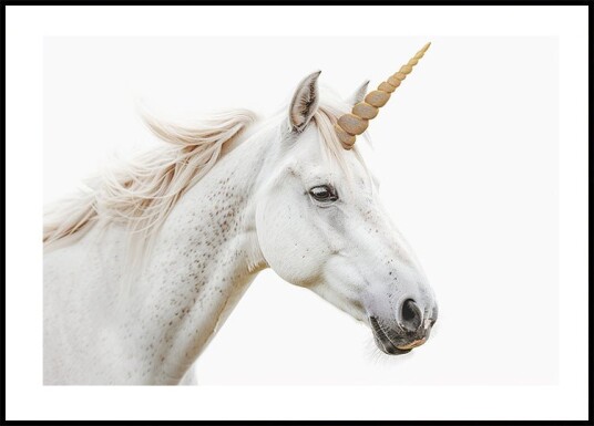 Unicorn Plakat Plakat / 30x40cm