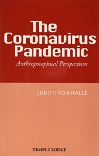 The Coronavirus Pandemic Av Judith Von Halle
