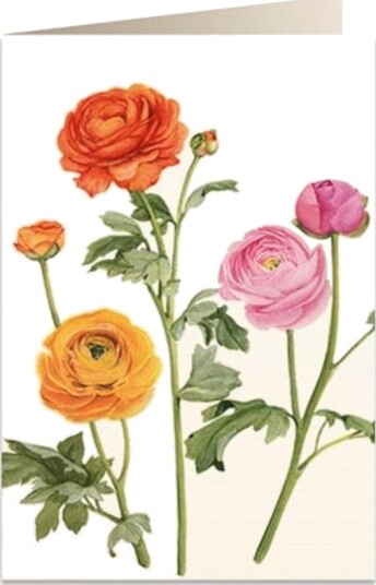 B6 Carnet + Konvolutt 5892 Buttercup