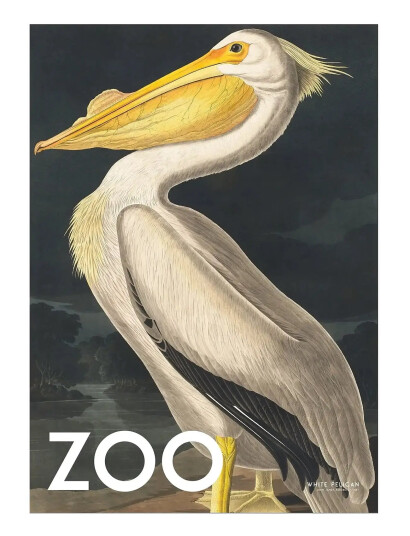 Poster & Frame A.p. Atelier - The Zoo Collection — White Pelican — Edt. 002 - Multi/patterned - 70X100CM Poster & Frame A.p. Atelier - The Zoo Collection — White Pelican — Edt. 002 - Multi/patterned - 70X100CM