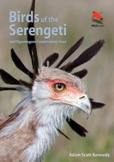 Birds Of The Serengeti Av Adam Scott Kennedy
