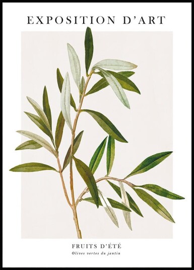 Olive Plakat Plakat / 50x70cm Olive Plakat Plakat / 50x70cm