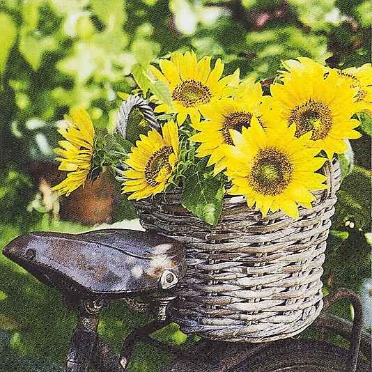 Jernia Servietter 33x33cm sunny flower