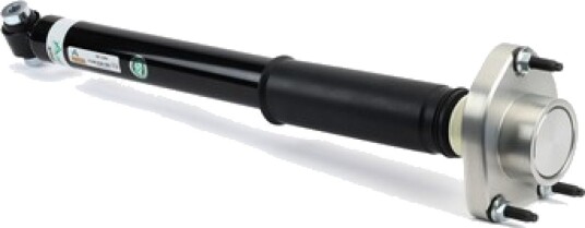 Støtdemper Arnott SK-3385