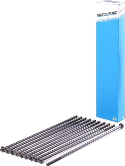 REINZ 14-32100-01 Topplokksbolter