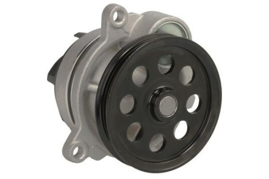 THERMOTEC D1G060TT Vannpumpe