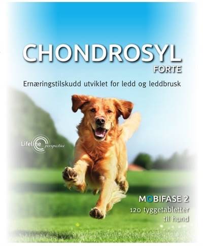 Lifeline Chondrosyl Forte Vet 120