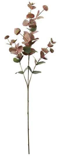 Standard produsent Gren Eucalyptus