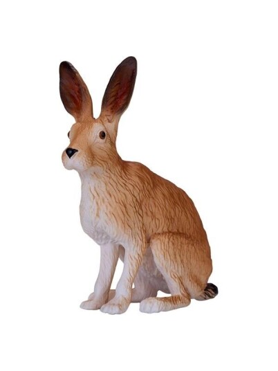 Mojo   Wildlife Hare