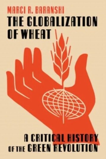 The Globalization Of Wheat Av Marci Baranski