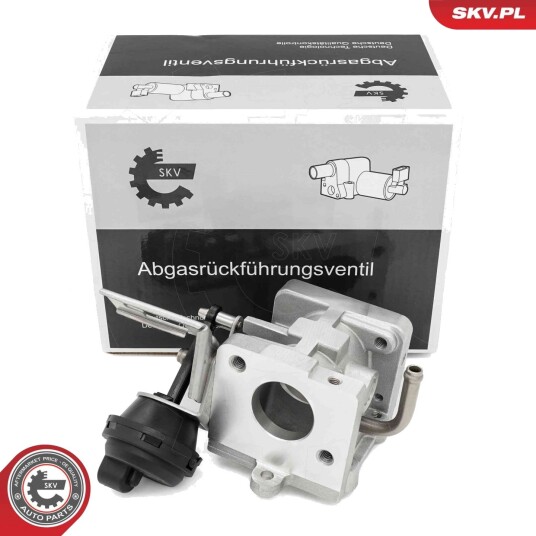 EGR Ventil ESEN SKV 14SKV290