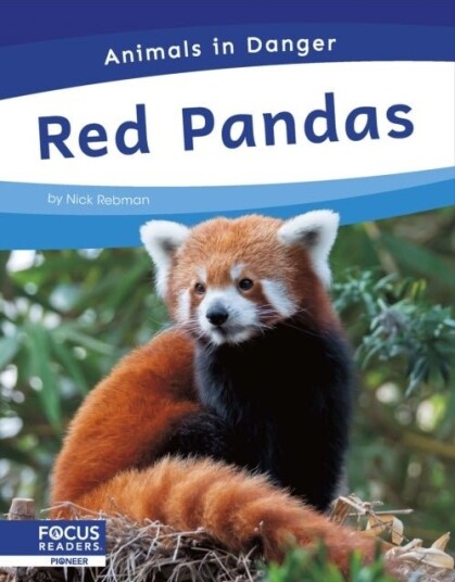 Red Pandas Red Pandas